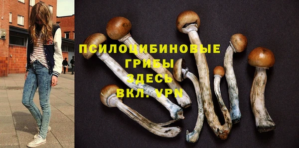 ешки Алзамай