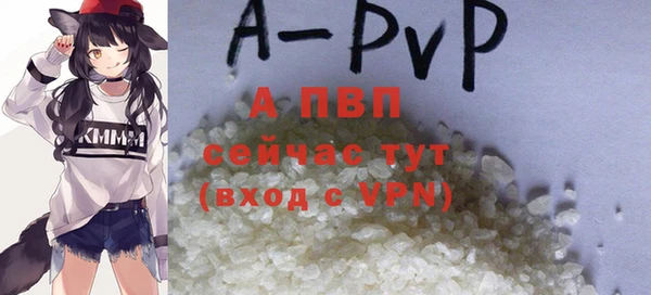 a pvp Аркадак